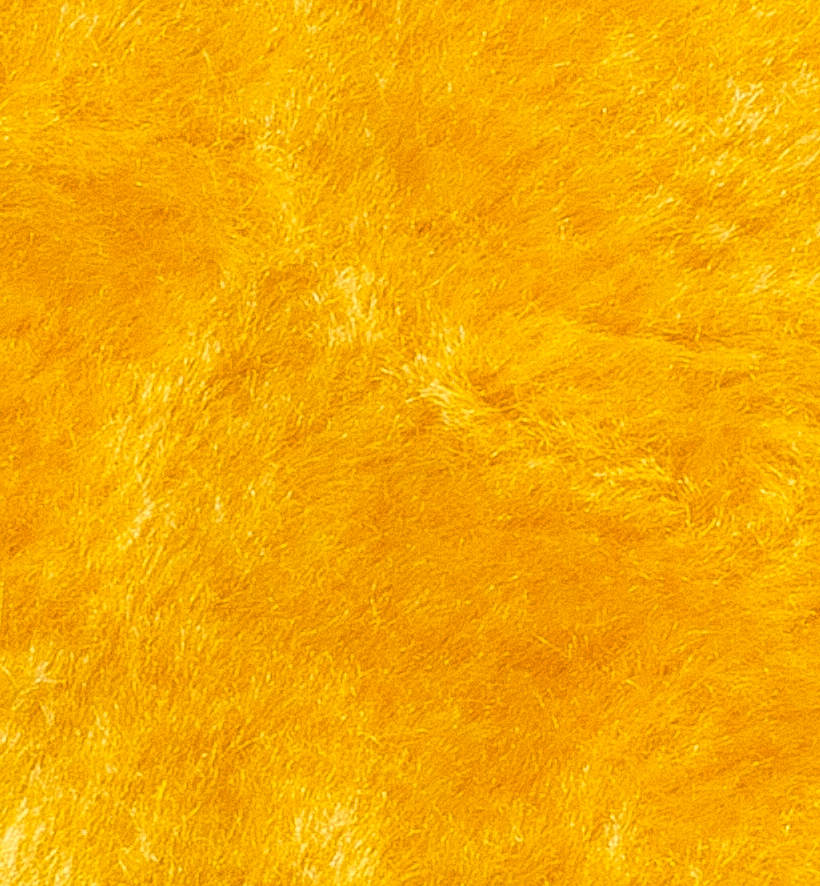 Перчатки СИБИРЬ 0145 (кожа телячья, утепленный искусственный мех, резинка на запястье, жёлтые)